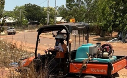 Weed management activities under way in Maningrida