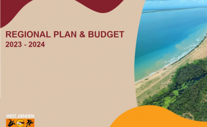 Draft regional plan and budget 