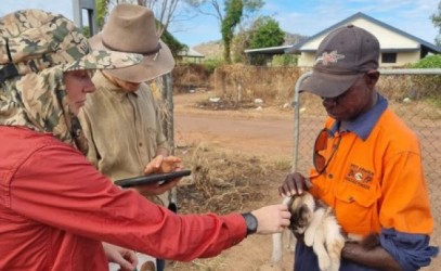 AMRICC visit to west arnhem - people patting kitten