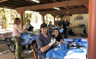 Maningrida vet visit