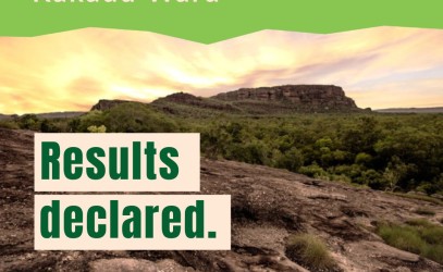 NTEC results declared