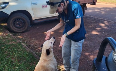 Warruwi vet visit 2025