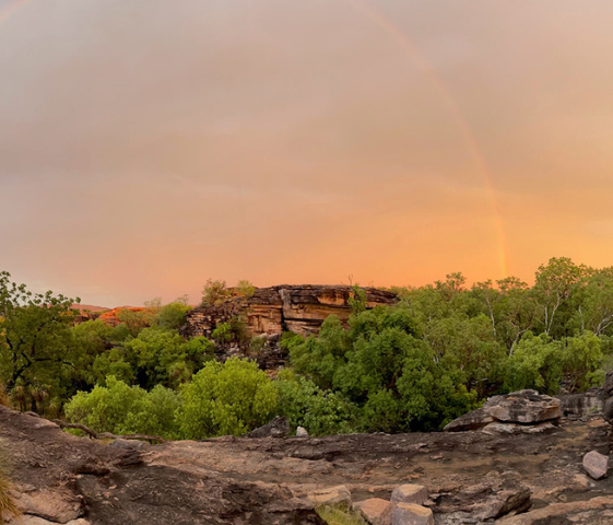 Ubirr Sunset 561 x 480