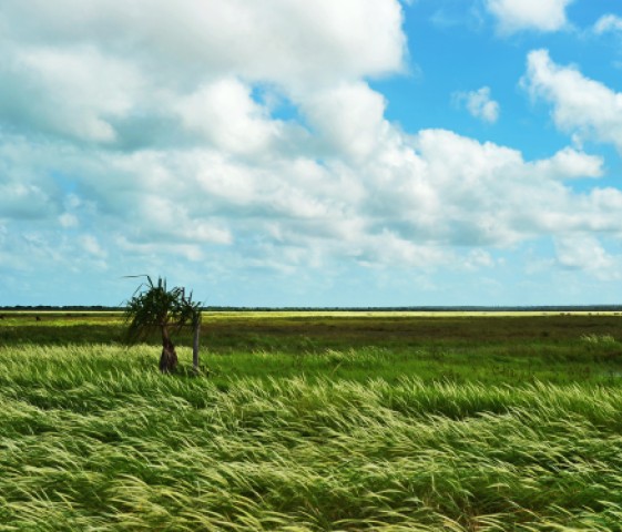 Minjilang-floodplains