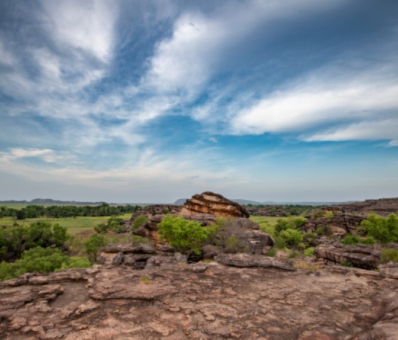 Kakadu lookout