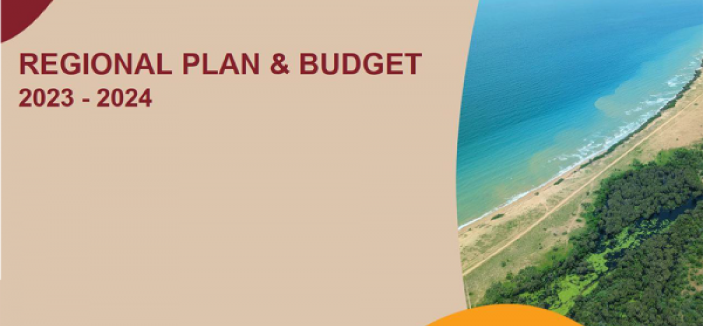 Draft regional plan and budget