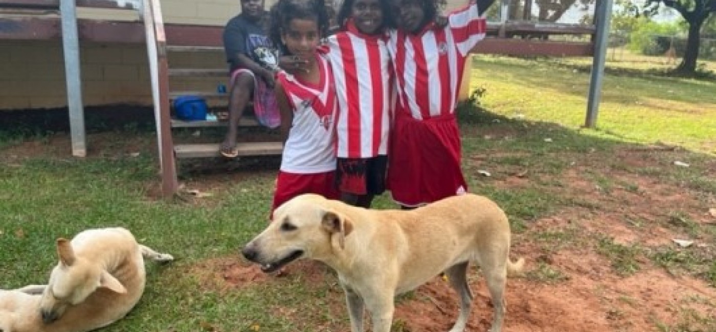 Three children playing with two dogs 