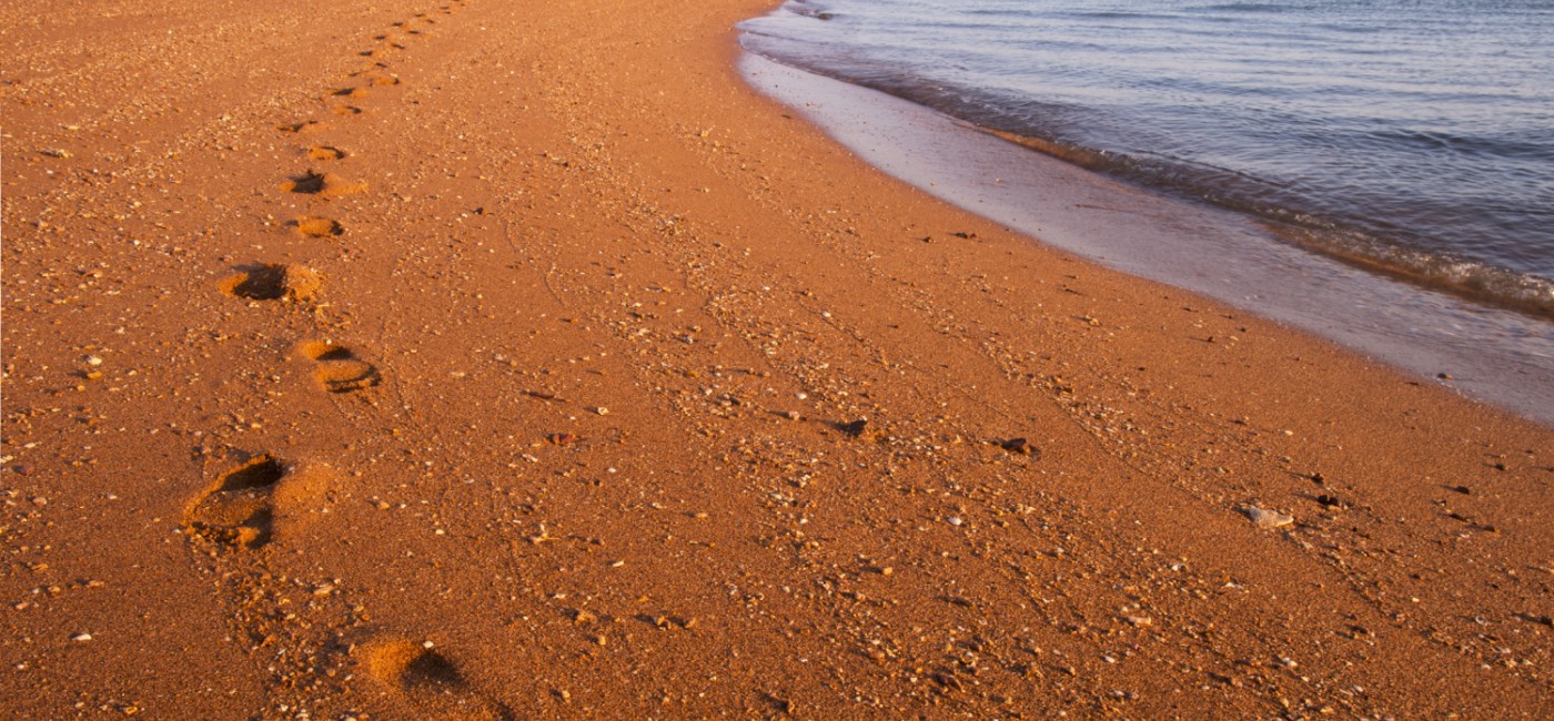 footprints in sand