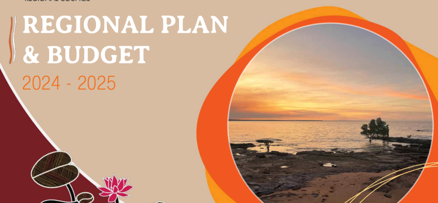 Regional plan and budget 2024 - 2025