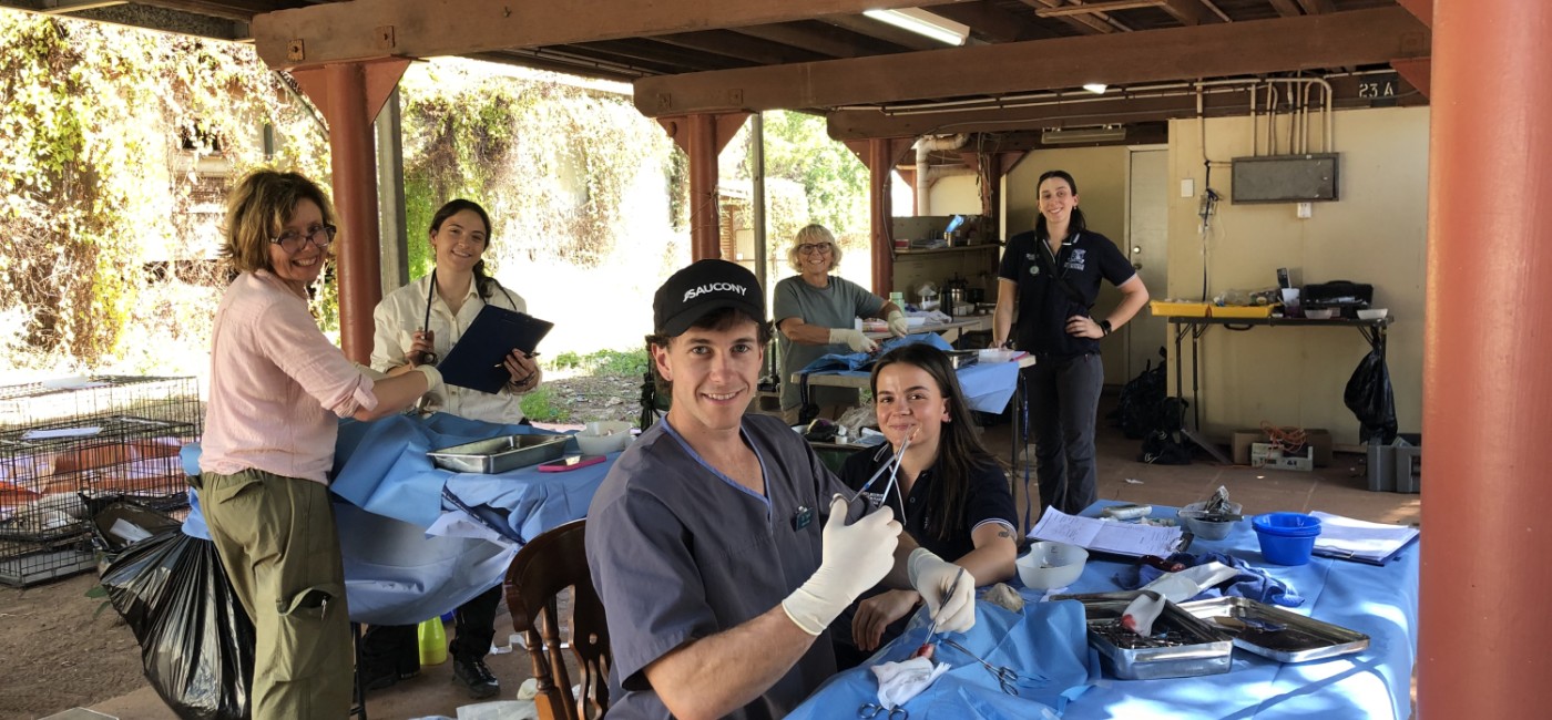 Maningrida vet visit