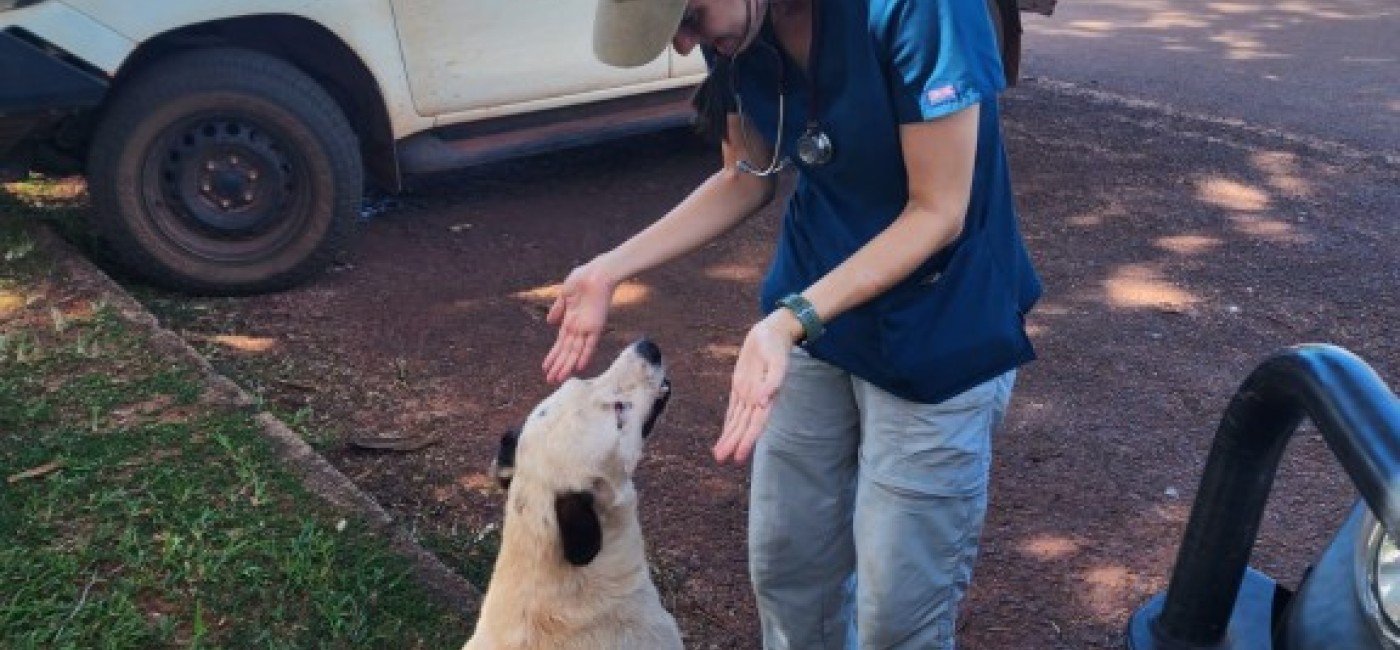 Warruwi vet visit 2025